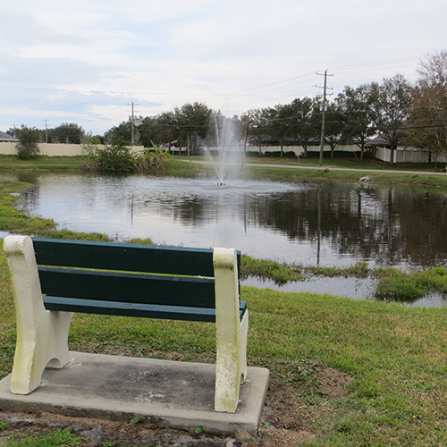 photograph of a bench in front of a pond with a fountain in the center
