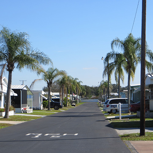  photograph of a row of mobile homes on both sides of a road lined with palm trees under a blue sky