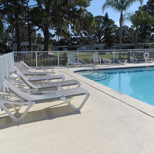 photograph of lounge chairs next to a swimming pool with palm trees in the background